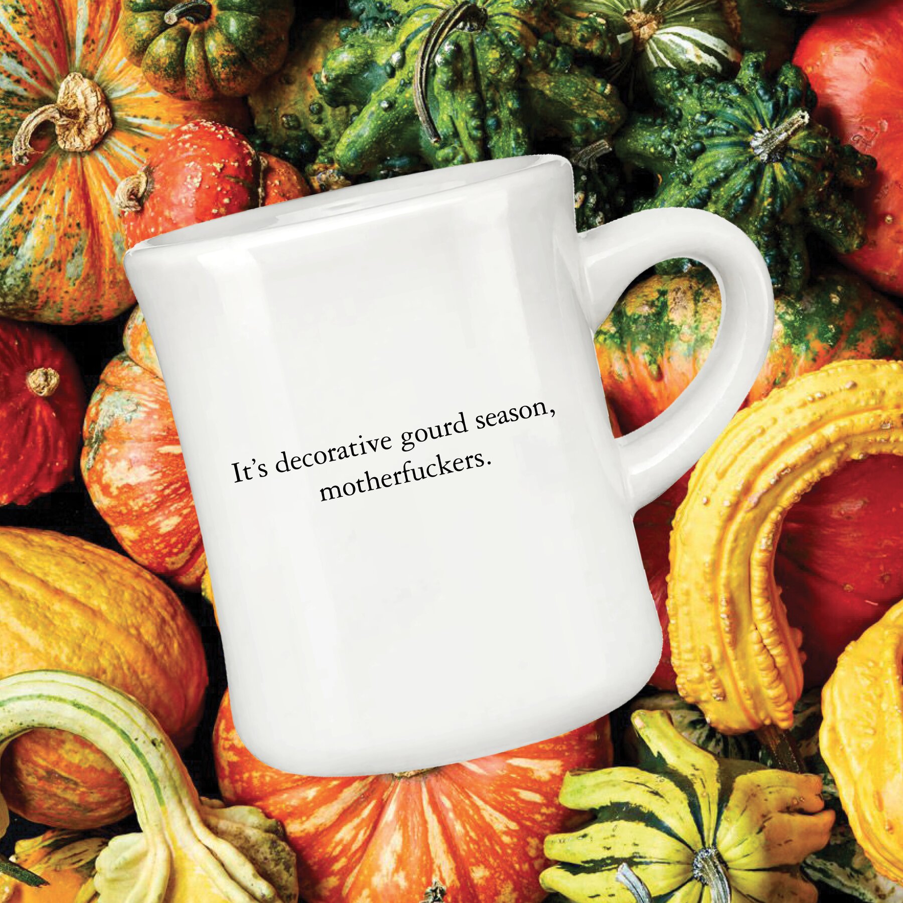 "It's Decorative Gourd Season, Motherfuckers" Diner Mug - The McSweeney